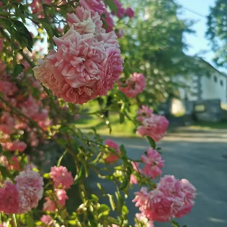 Farm Pri Cepcovih Farm stay Golac