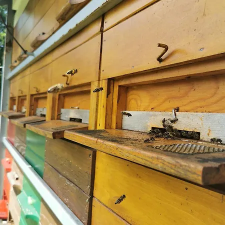 Farm Pri Cepcovih Golac