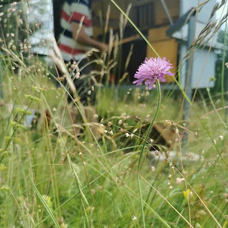 Farm Pri Cepcovih Vakantieboerderij *