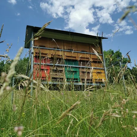 Lantgård Farm Pri Cepcovih Golac