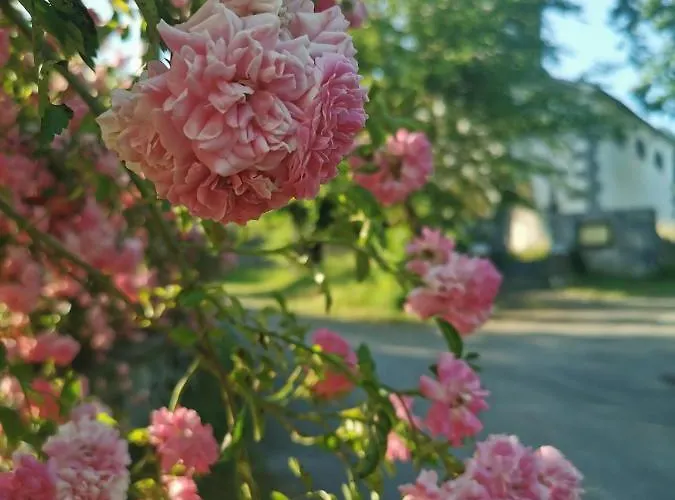 Farm Pri Cepcovih 农家乐 Golac