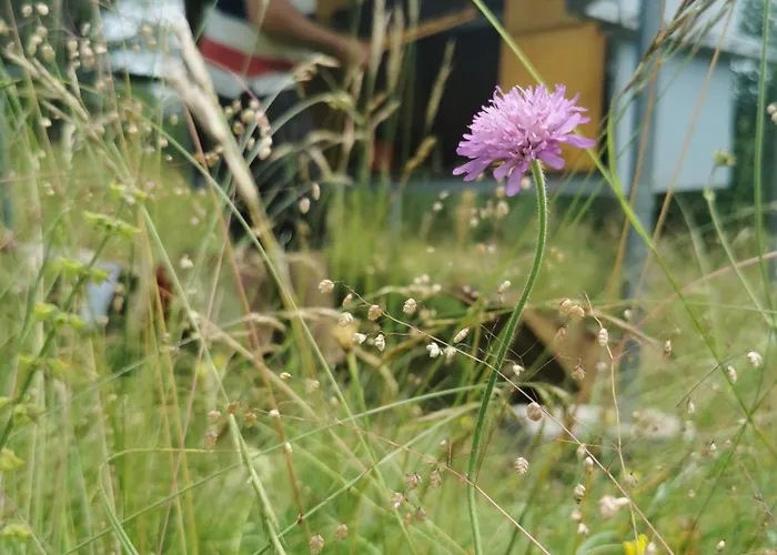 Farm Pri Cepcovih 农家乐 *