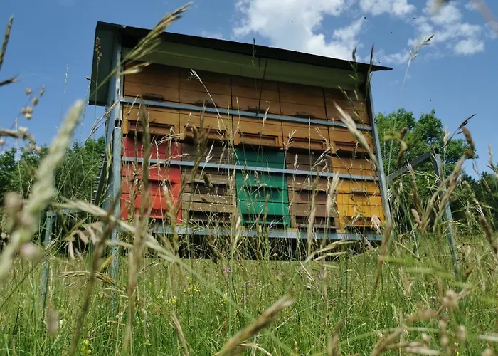 农家乐 Farm Pri Cepcovih Golac