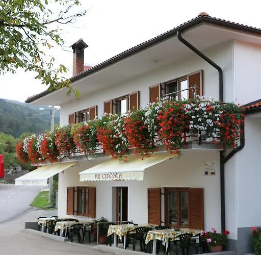 农家乐 Farm Pri Cepcovih Golac