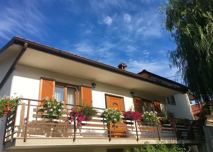 Farm Pri Cepcovih 农家乐 Golac